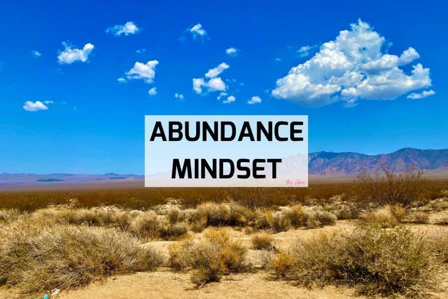 mindset of abundance